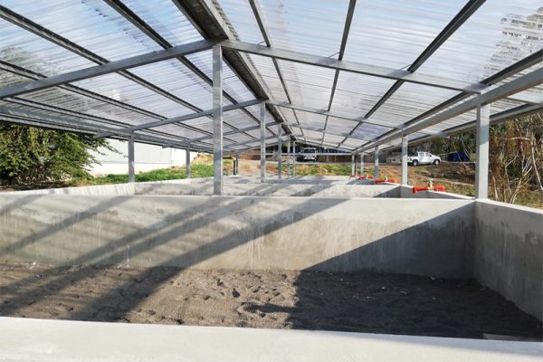 proamsa_proyecto_pollos_pura_vida_5
