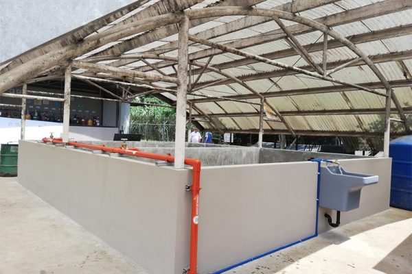 proamsa_proyecto_chemtica_internacional_8